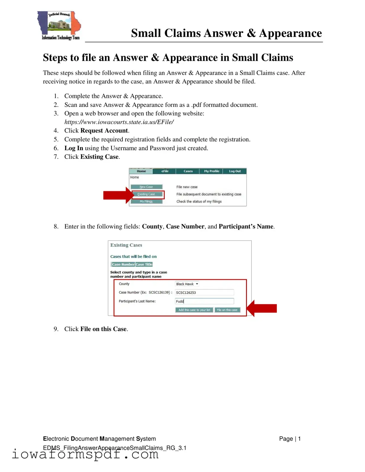 Get Iowa Appearance and Answer Form in PDF
