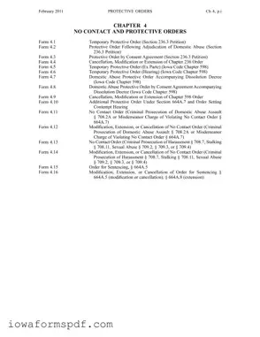 Get Iowa Protective Order Form in PDF